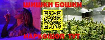 хмурый Новозыбков