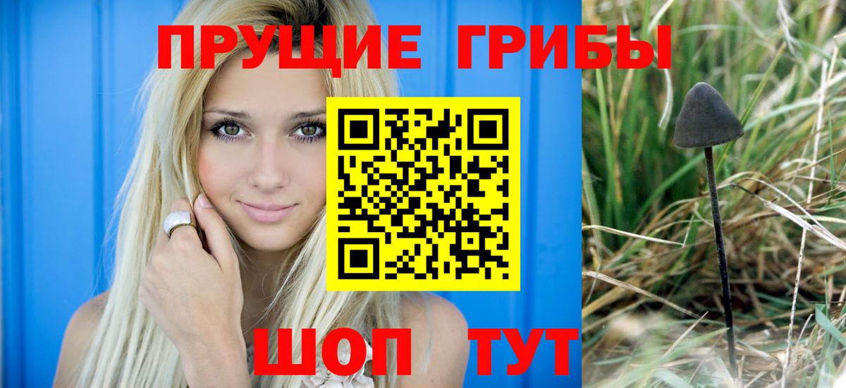 Галлюциногенные грибы прущие грибы  Вход с VPN  Галлюциногенные грибы прущие грибы  Уссурийск 