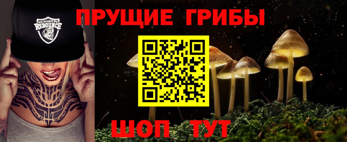 Псилоцибиновые грибы Psilocybine cubensis Уссурийск